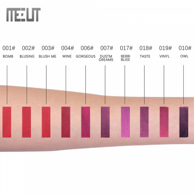 Drop Shipping Fashion 10 Colors Lip Gloss Matte Velvet Private Label Oem Cosmetics Attractive Lip Glaze